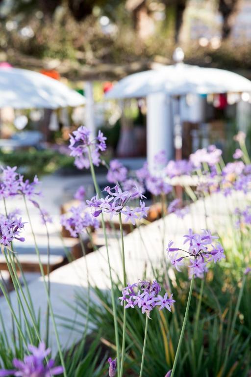 Ibizazen Hotel Santa Eulària des Riu Kültér fotó